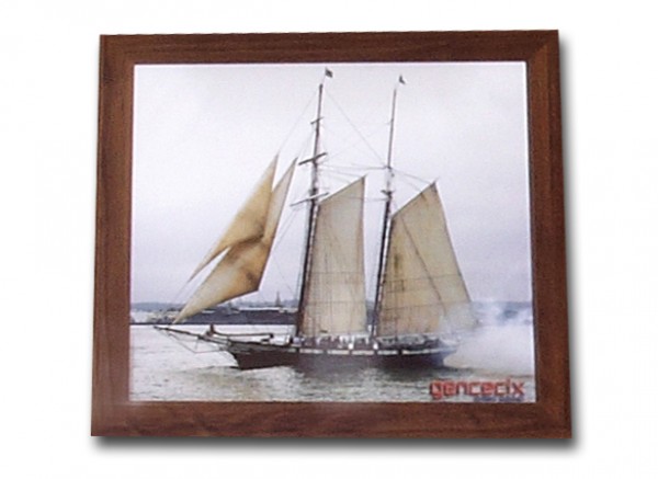 Wandbild PIRAT Naturbraun small Picture